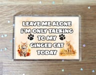 Cat Fridge Magnet Gift - Leave Me Alone I'm Only Talking To My Ginger Cat Today