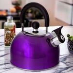 Stovetop Kettle Whistling Spout Metallic Purple Stainless Steel Gas Electric Hob