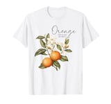 Orange You Glad We Met? Vintage Fruit Pun Valentine T-Shirt