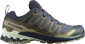 Salomon Men's XA 3D Pro V9 GORE-TEX India Ink/Olive Night/Aloe Wash, Basic Blue, 40