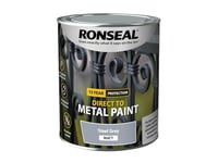 Ronseal Direct to Metal Paint Steel Grey Matt 750ml