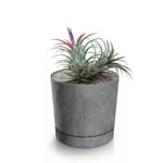 Botle Pot De Fleur Rond Gris Plastique Beton Effect Cache Pot 17,5 Cm Decoratif Bac A Plantes Avec Soucoupe Fleurs