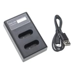 Dual USB Battery Charger for Sony Camcorder HDR-CX405 HDR-CX440 HDR-GW66 4.2V