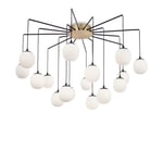 Rhapsody Indoor Cluster Ceiling Pendant Lamp 16 Lights Black G9