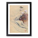 Big Box Art Fish in The Summer by Maruyama Okyo Framed Wall Art Picture Print Ready to Hang, Black A2 (62 x 45 cm)