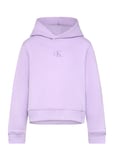 Calvin Klein Ck Logo Boxy Hoodie Lila