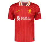 Liverpool FC Stadium 24/25 Home M matchtröja Herr GYM RED/WHITE/CHROME YELLOW L