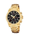 Festina Timeless Chronograph Ur 20705/4