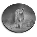 Round MDF Magnets - BW - Caracal African Lynx Cat #38978