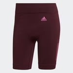 Indoor Cycling Shorts