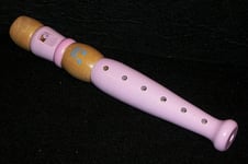 Recorder musical instrument toy