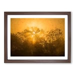 Light Through The Trees In Sri Lanka In Abstract Modern Art Framed Wall Art Print, Ready to Hang Picture for Living Room Bedroom Home Office Décor, Walnut A2 (64 x 46 cm)