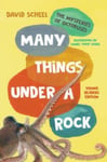 Many Things Under a Rock Young Readers Edition  The Mysteries of Octopuses