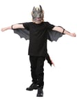 Rubies Official How to Train Your Dragon - Toothless Dragon, Childs Wings and Mask Set, One Size 3-8 Years Halloween