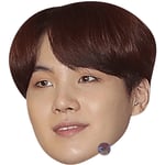 Suga Celebrity Mask, Flat Card Face, Fancy Dress Mask