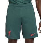 Nike Liverpool FC, Shorts Homme, Saison 2022/23 Officiel Third,Dk Atomic Teal/Siren Red, L