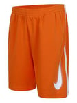 Nike Younger Boys All Day Play Dri-fit High Brand Read Short - Orange, Orange, Size 2-3 Years