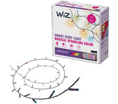 WIZ Smart Fairy Lights - Multicolour