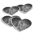 4x Heart Stickers - BW - Caracal African Lynx Cat #38978