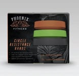 Phoenix Fitness Yoga Loop Bands New Home Travel