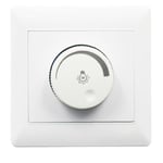 Vriddimmer 250V Controller LED-ljus Dimmerbrytare Lampa Belysningstillbehör