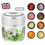 250ML Electric Garlic Chopper Vegetable Food Slicer Grinder Blender Crusher