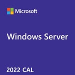 OEM Windows Server CAL 2022 English 1pk DSP OEI 5 Clt User CAL