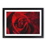 Big Box Art Drops Upon a Red Rose Painting Framed Wall Art Picture Print Ready to Hang, Black A2 (62 x 45 cm)