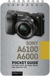 Rocky Nook - Sony a6100: Pocket Guide Bok