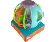 B-Kids Ball Shape Sorter