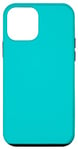 Coque pour iPhone 12 mini Bleu esthétique