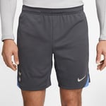 Tottenham Shorts Dri-FIT Strike - Grå/Turkos/Grå - Nike, storlek Medium