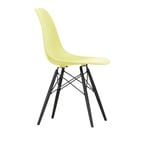 Vitra - Eames RE Plastic Chair DSW 92 Citron, Black Maple - Matstolar - Charles & Ray Eames - Gul - Metall/Plast