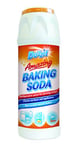 Duzzit Amazing Baking Soda Multi Purpose Household Cleaner , 500 g (Pack of 1)