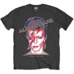 Black David Bowie Aladdin Sane Rock Official Tee T-Shirt Mens Unisex