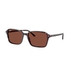 Ray-Ban Raimond - RB2231 1416C5 5818