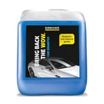Kärcher 5 L Canister Pressure Washer Detergent, Car Shampoo