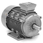 MSW Asynkronmotor - Trefas 5,5 kW 2950 varv/min 230/400 V IE3