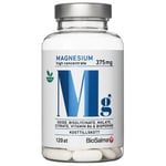 BioSalma Magnesium 375mg Kosttillskott 120 ST