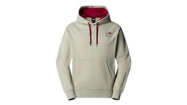 THE NORTH FACE Men's Coordinates Hooded Sweatshirt, Clay Grey, L