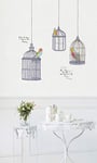 Ambiance Sticker Autocollant Muraux Décoration Adhésifs Oiseaux en Cage Dessinés Sticker Murale pour Bébé, Chambre d'enfant et Salon - H50 x L70 cm