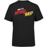 Marvel 10 Year Anniversary Ant-Man And The Wasp T-shirt Homme - Noir - S - Noir