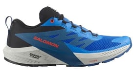 Salomon Sense Ride 5 - homme - bleu