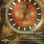 Charles Callahan, Alexandre Guilmant, Edmond Lemaigre, Gabriel Pierné, Gaston Dethier, Norman CokeJephcott, Théodore Dubois, Théodore Salomé, W. Eugene Thayer  Cathedral Echoes  CD