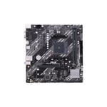 ASUS PRIME A520M-K - hovedkort - mikro ATX - Socket AM4 - AMD A520