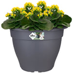 Elho - Bac à fleurs rond jardinière Anthracite en plastique pour extérieur jardin terrasse pot de fleurs 12 l