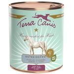 Terra Canis Grain Free 6 x 800 g - Häst med kålrot, fänkål & salvia