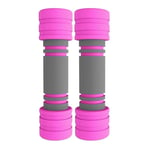 LILIS Weight Bench Adjustable Non-slip Dumbbell For Women Portable Dumbells Gym Home Use 2 3 Kg Fitness Equipment For Aerobics Yoga Thin Arm (Color : Pink, Size : 3KG (1.5 kg x 2))