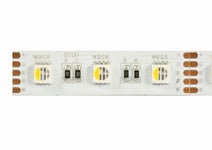 Synergy 21 Led Flex Strip 60 Rgb Dc24v Rgbw Ein Chip Nw Ip68