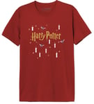 Harry Potter MEHAPOMTS411 T-Shirt, Rouge, 3XL Homme